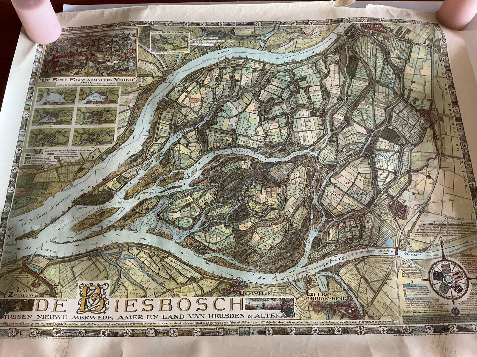 Historische kaart De Biesbosch - Sint Elisabethsvloed, Gelezen, Ophalen of Verzenden, Landkaart, 1800 tot 2000