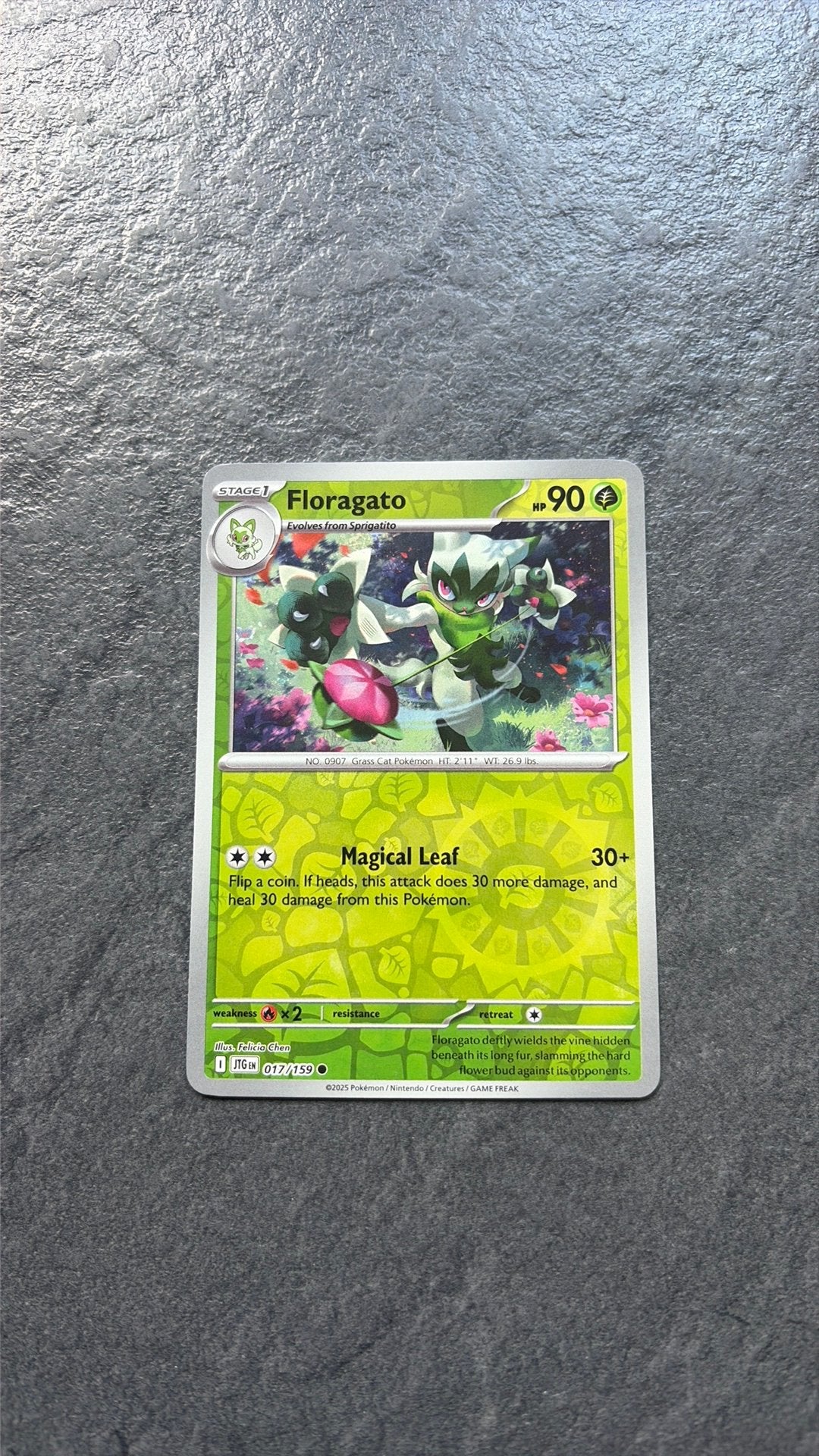 Floragato, Ophalen of Verzenden, Zo goed als nieuw