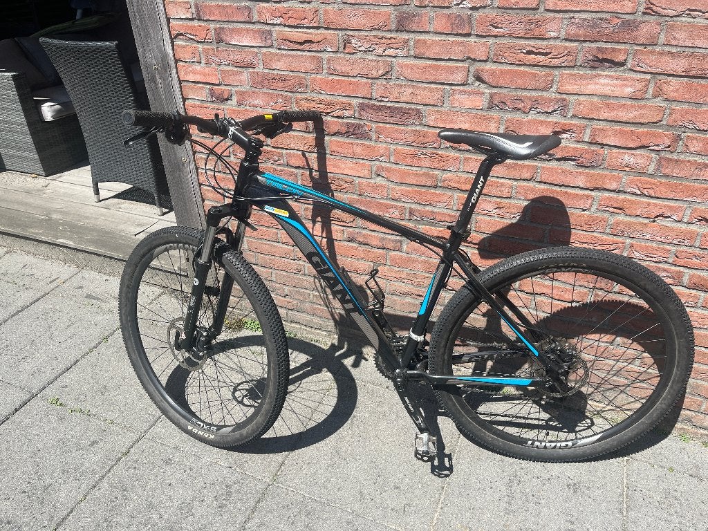 mountainbike Giant Talon 29er XL, Fietsen en Brommers, Fietsen | Mountainbikes en ATB, Ophalen, Gebruikt, 57 cm of meer, Heren