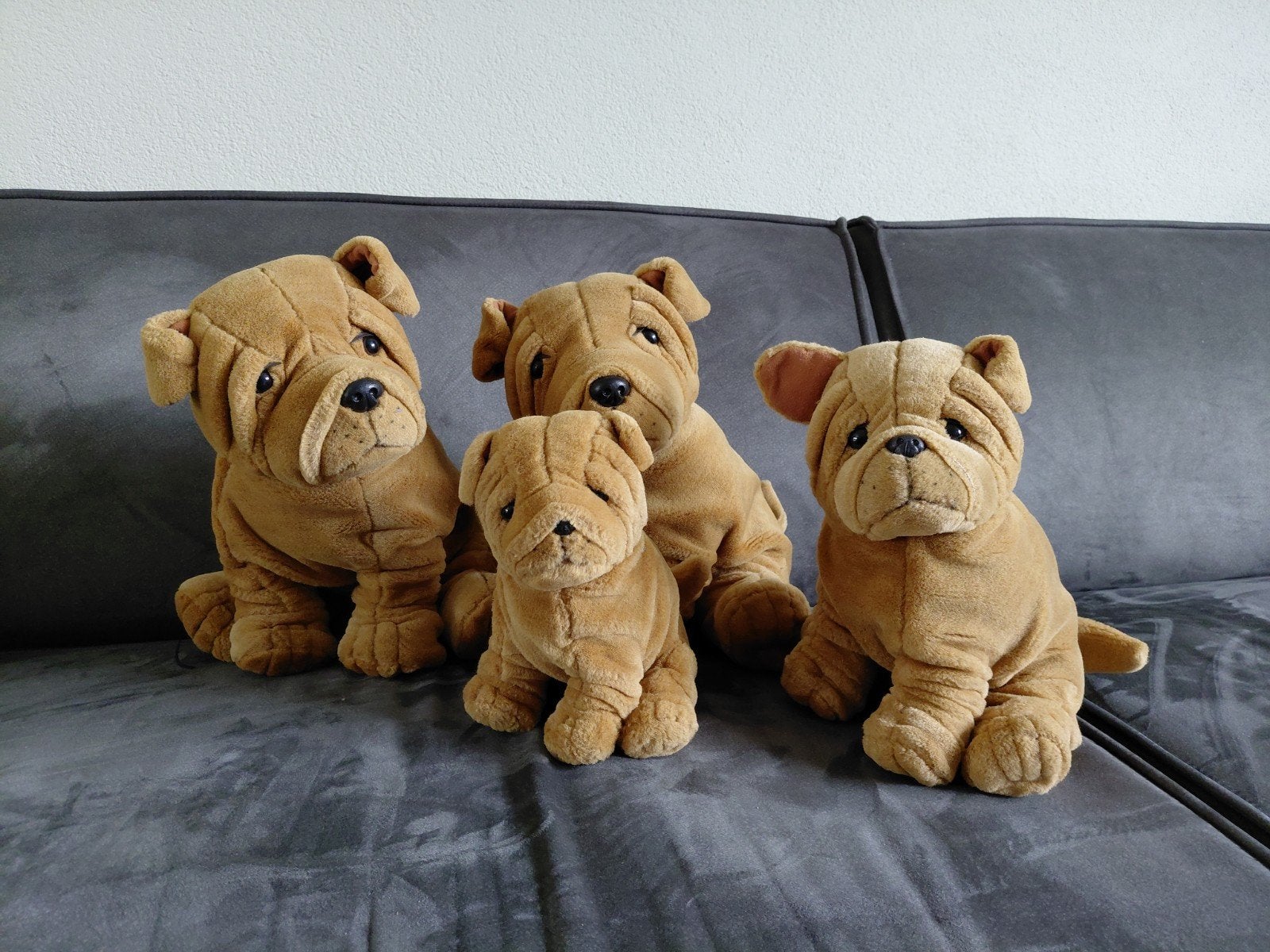 Leuke Shar Pei honden knuffels - set van 4, Ophalen, Zo goed als nieuw, Bruin, Hond