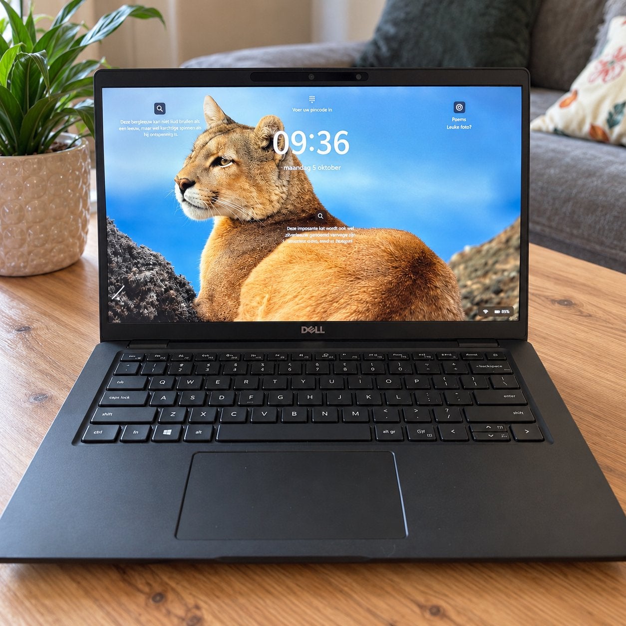 Dell Touchscreen Laptop - Windows 11, Computers en Software, Qwerty, Refurbished, SSD, DELL