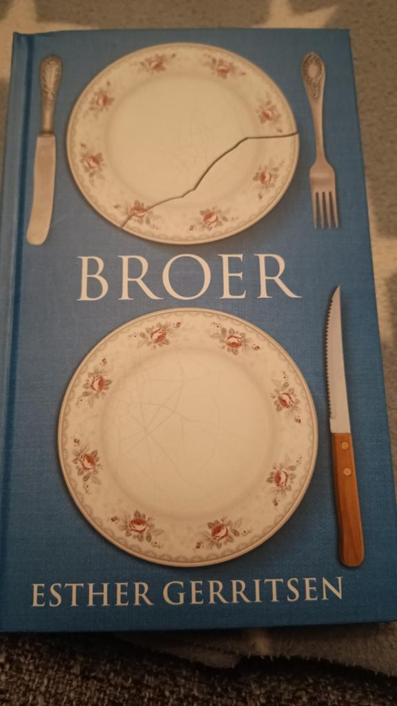 Esther Gerritsen broer, Boeken, Ophalen of Verzenden, Zo goed als nieuw