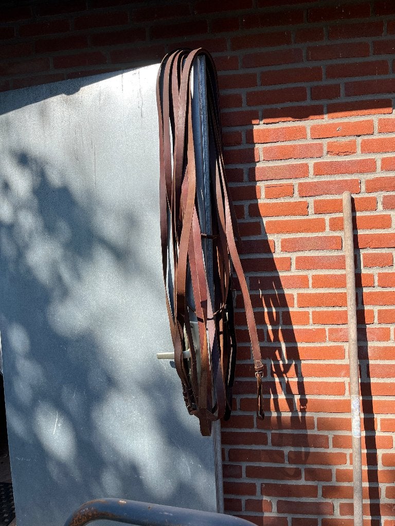 vierspan leidsel, Dieren en Toebehoren, Ophalen of Verzenden, Gebruikt, Teugels, Full