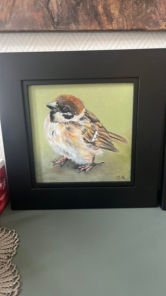 Schilderij musje 40/40 olieverf, Ophalen of Verzenden
