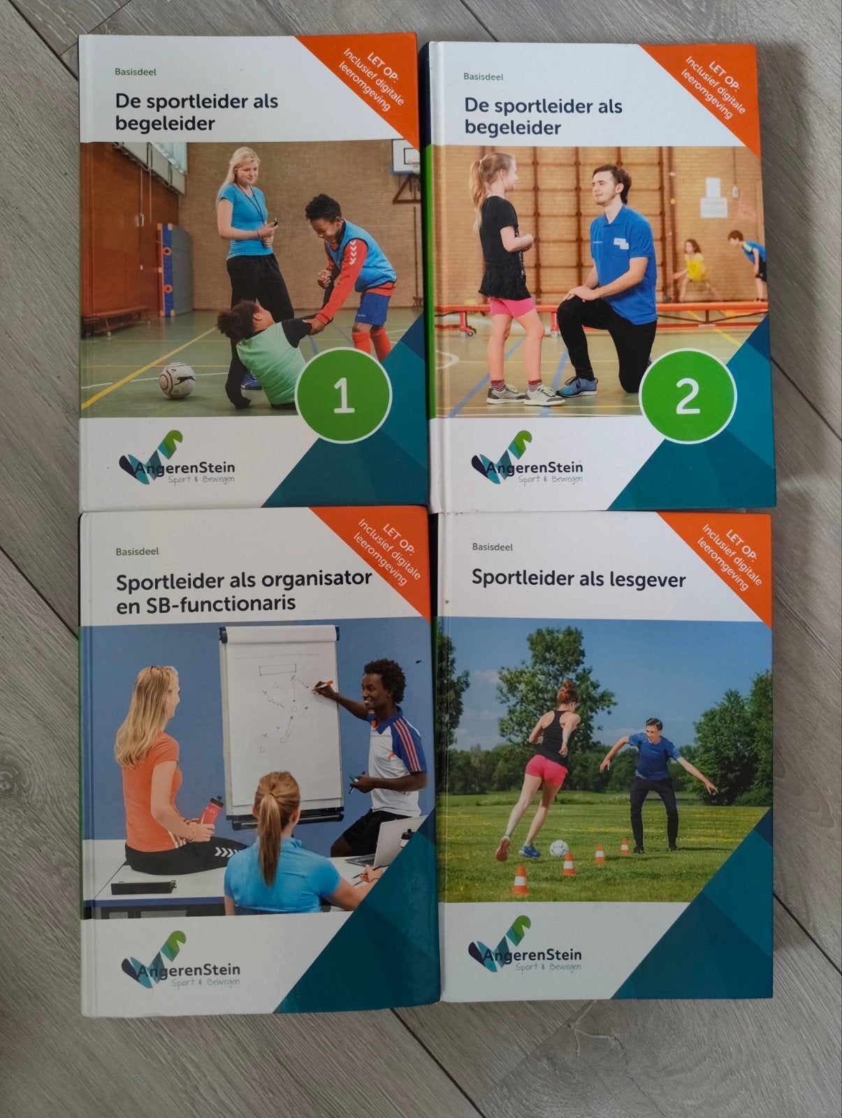 Schoolboeken opleiding: Bewegingsagoog, Boeken, Ophalen, Overige vakken, AngerenStein, Zo goed als nieuw