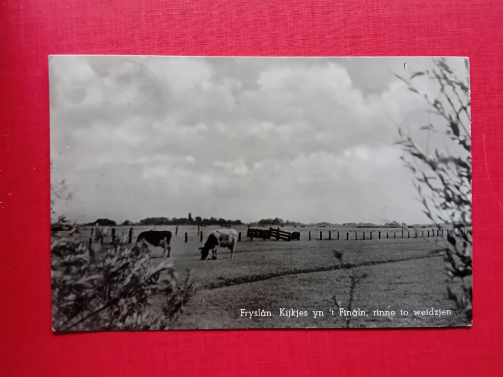 Ansichtkaart Friesland Fryslân, Ophalen of Verzenden, Friesland