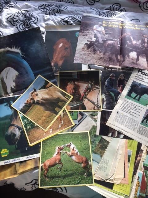 poster platen artikelen van paarden pony's jaren 70 80 90, Ophalen of Verzenden, Zo goed als nieuw, Paard, Overige typen