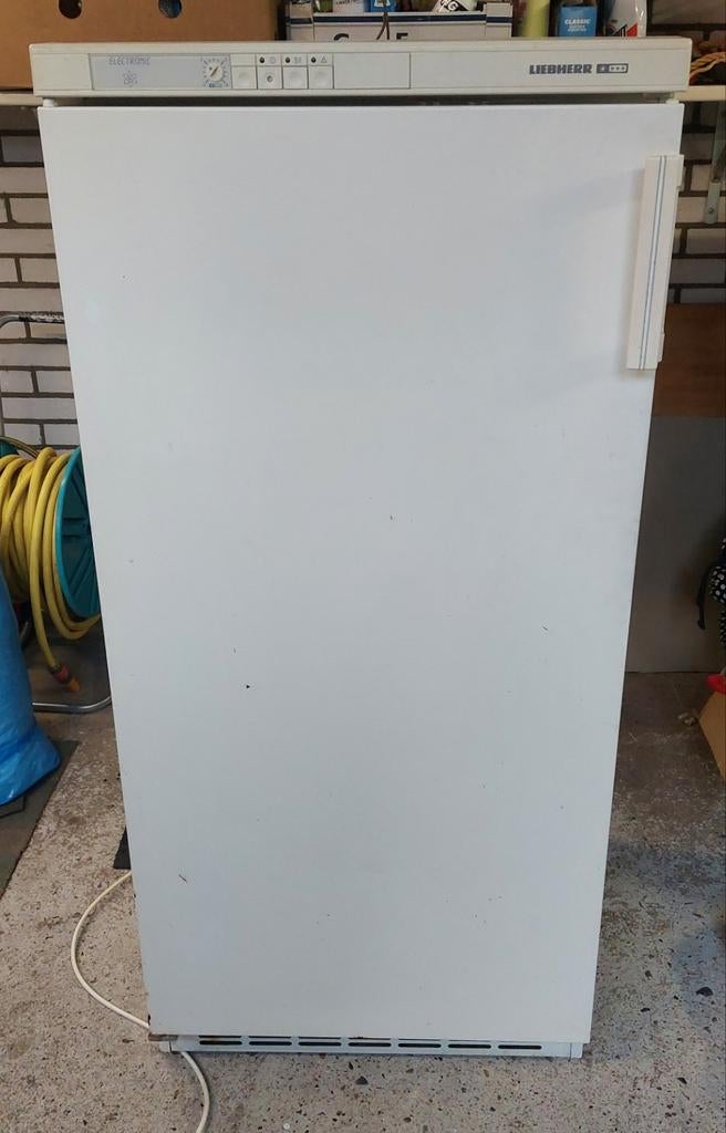 Liebherr Vrieskast - Goed werkend en ruim, Witgoed en Apparatuur, Vriezers en Diepvrieskisten, Gebruikt, 160 cm of meer, Ophalen