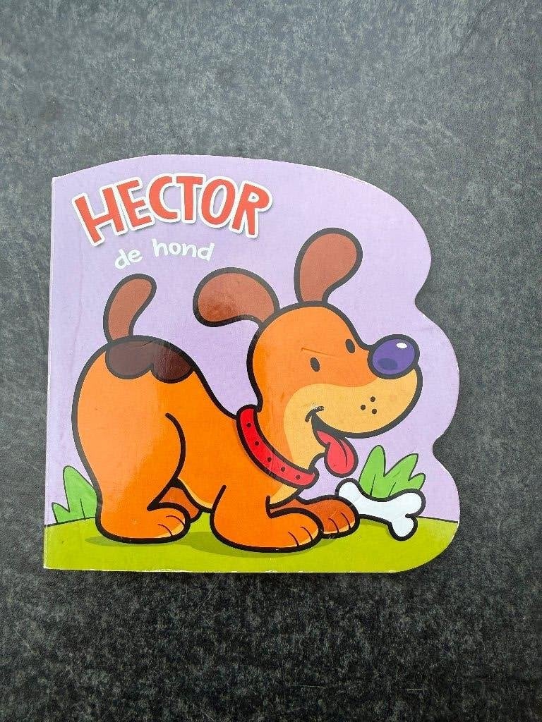 Kinderboek, Boeken, Ophalen of Verzenden, Gelezen, Sprookjes