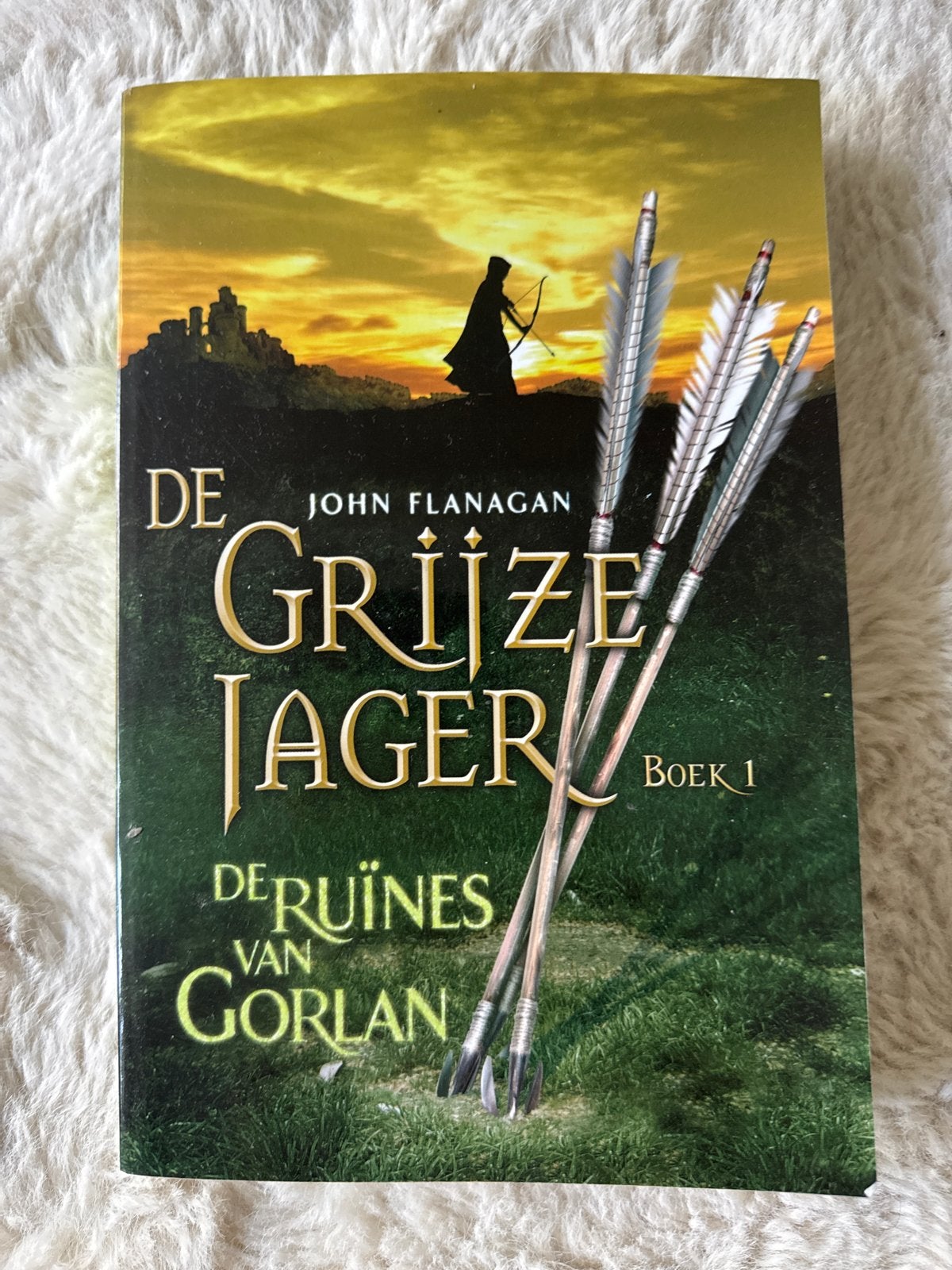 De Grijze Jager - De Ruïnes van Gorlan (Boek 1), Boeken, Ophalen of Verzenden, Gelezen