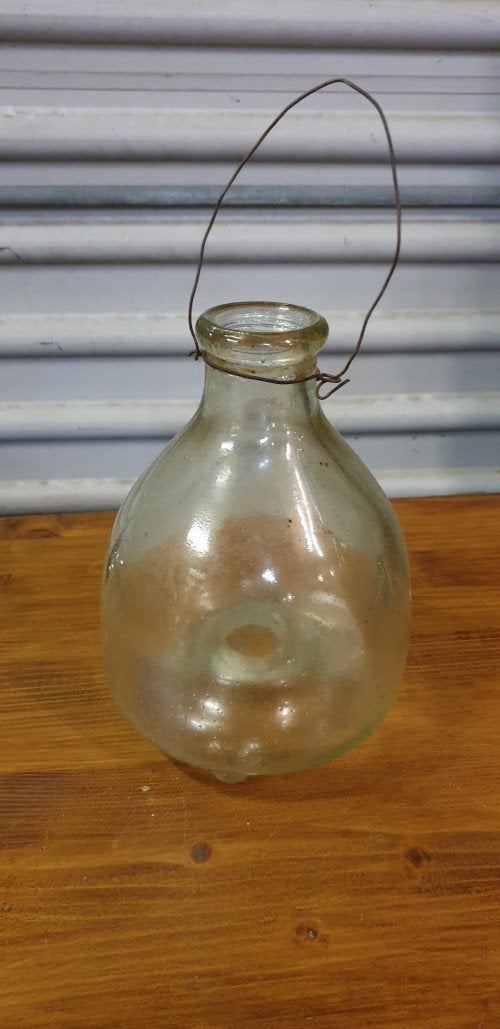 insecten val glas hanger, Ophalen of Verzenden, 'T Olde Gre-j, Info@toldegrej.nl, Endepoelstraat 20f Didam