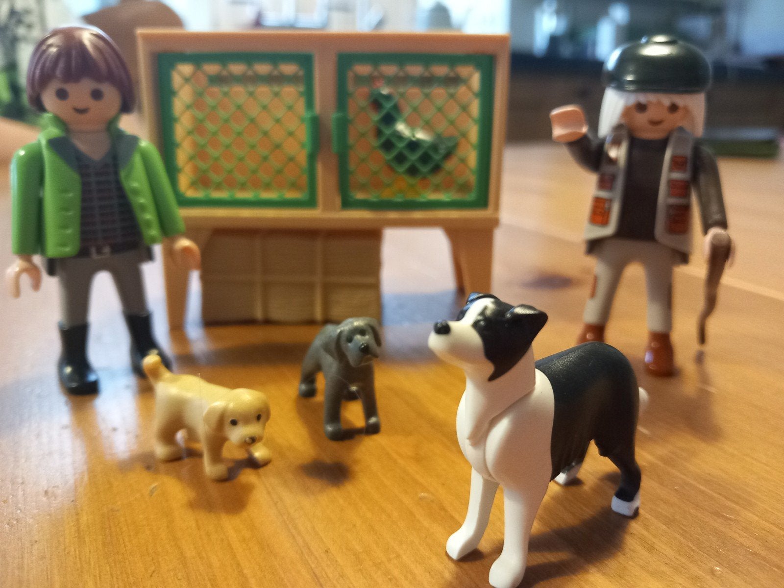 dieren honden, Ophalen of Verzenden