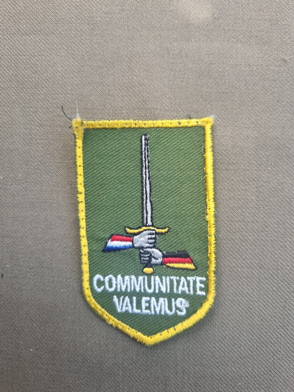 Mouwembleem DT 1 NL / GE KORPS, Ophalen of Verzenden, Landmacht, Nederland, Embleem of Badge