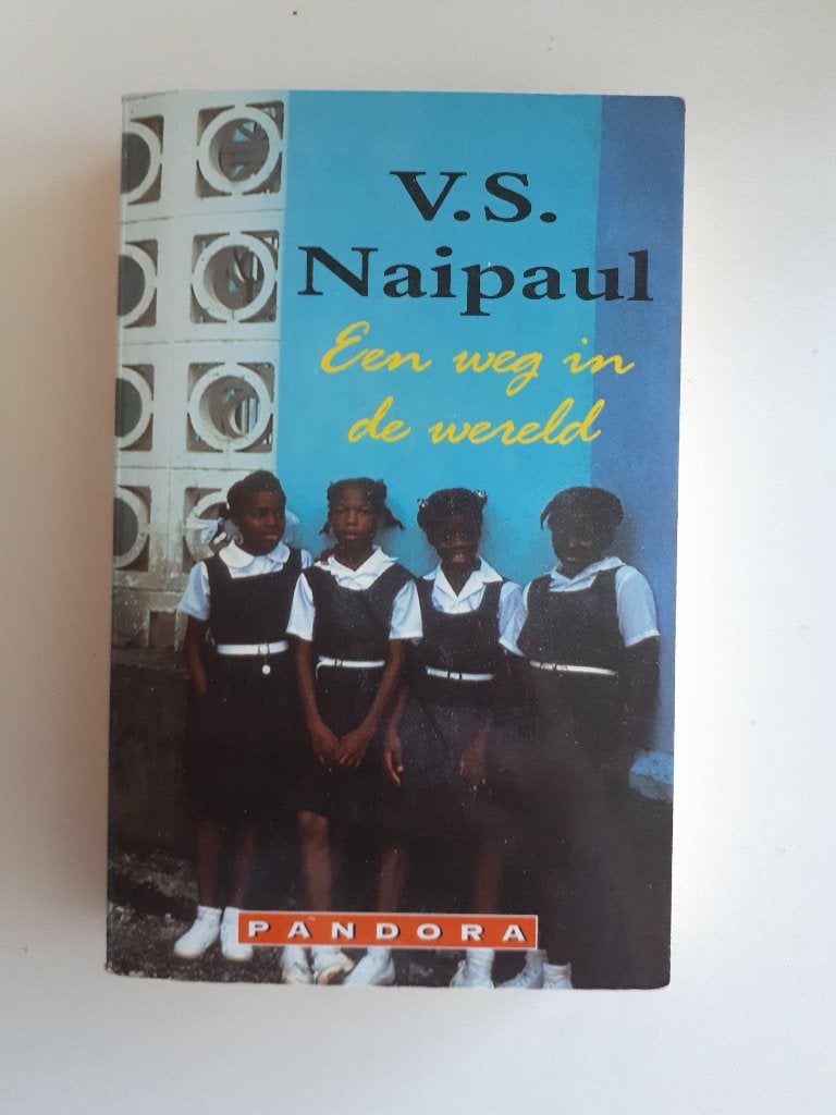 V.S. Naipaul - Een weg in de wereld, Ophalen of Verzenden, Gelezen, Wereld overig