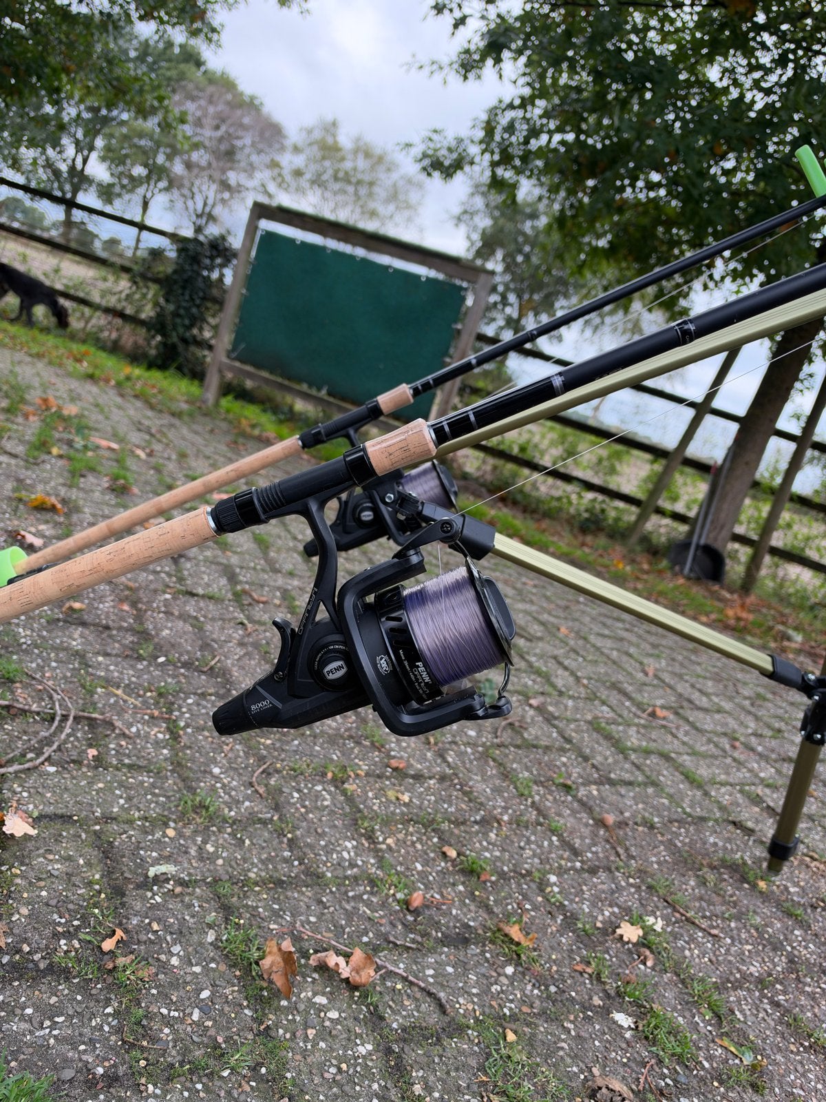 Korum Barbeel/Karper Hengels met Penn Molens & Accessoires, Ophalen, Zo goed als nieuw