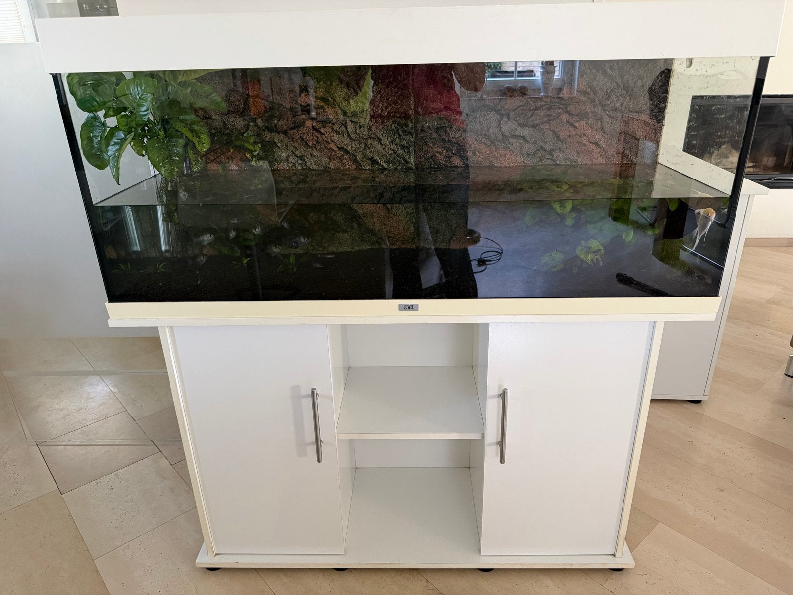 Juwel aquarium 250 liter met verlichting, pomp achterwand, Ophalen, Gebruikt, Aquariummeubel, Juwel
