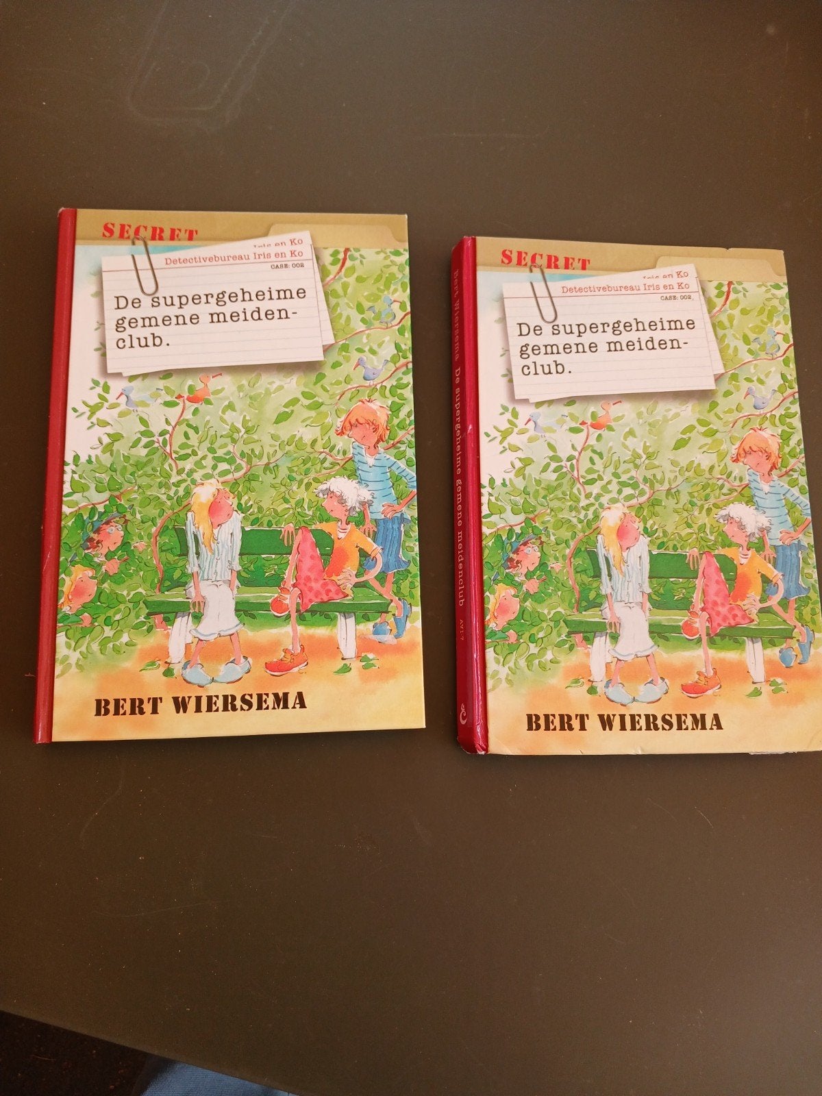 De supergeheime gemene meidenclub - Bert Wiersema, Ophalen of Verzenden, Zo goed als nieuw, Bert Wiersema, Fictie algemeen