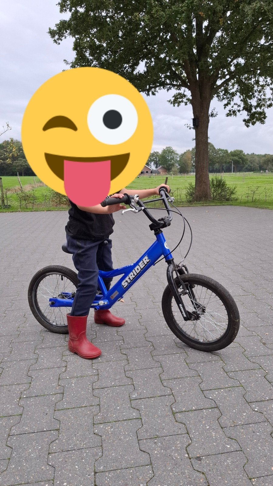 Strider loopfiets blauw - Zo goed als nieuw, Ophalen, 16 tot 20 inch, Velgrem, Zo goed als nieuw
