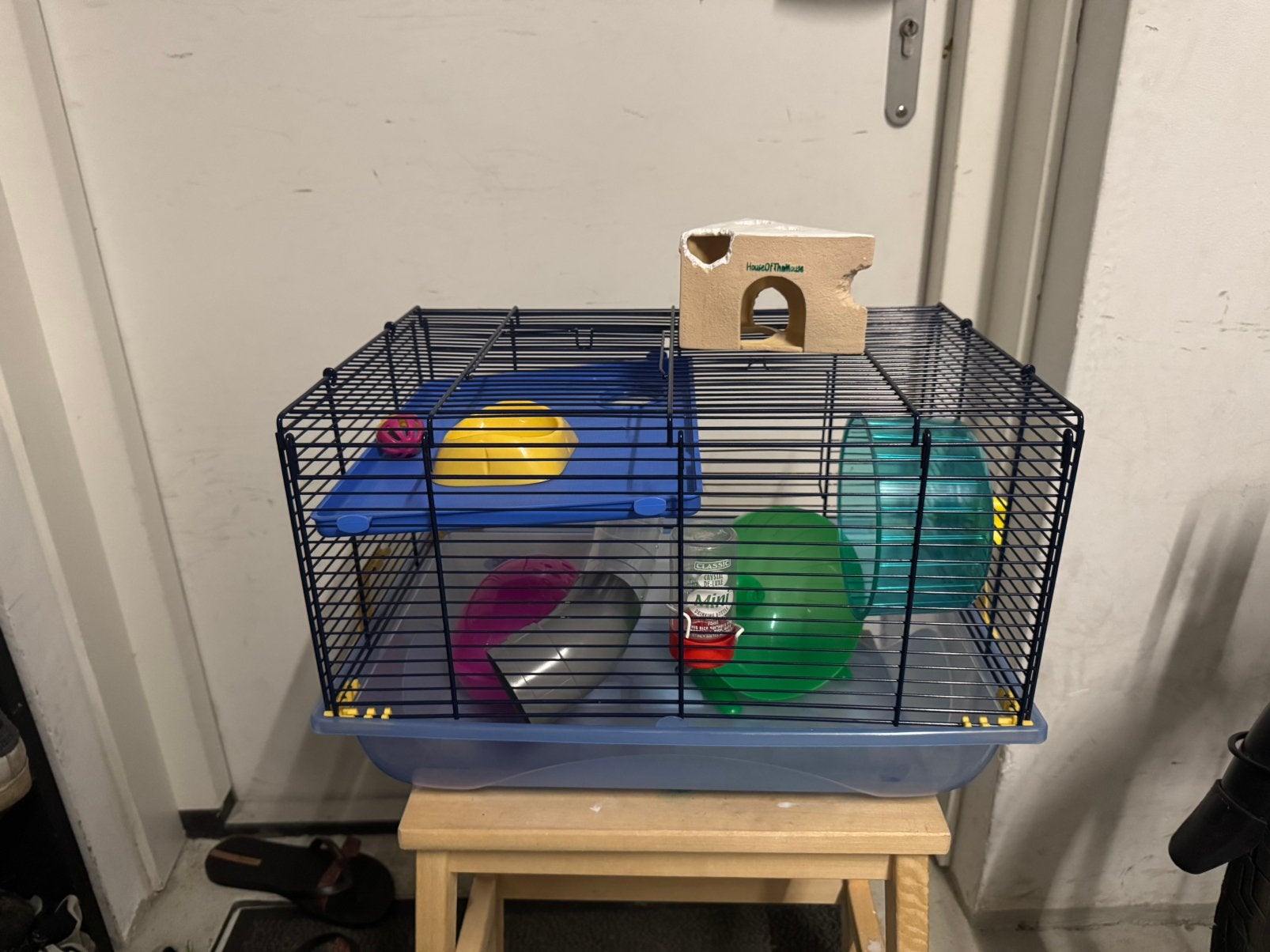 Hamster/muizenkooi met accessoires, Dieren en Toebehoren, Knaagdieren en Konijnen | Hokken en Kooien, Kooi, Minder dan 75 cm, Zo goed als nieuw