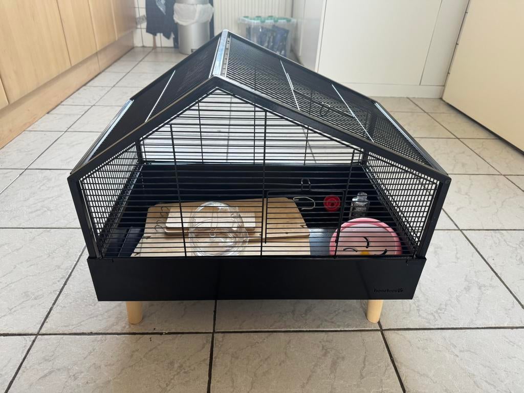 Hamsterhok ( geschikt voor dwerg ), Gebruikt, Minder dan 75 cm, Ophalen, Minder dan 60 cm