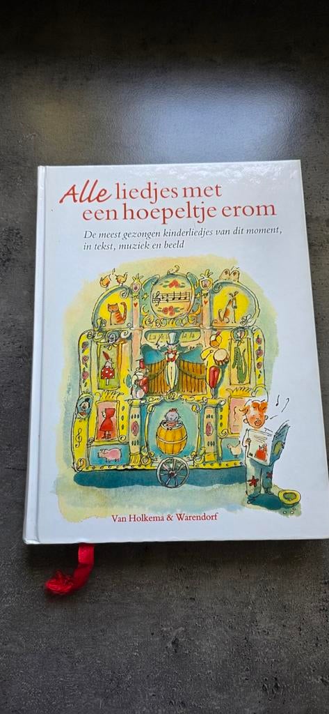 Alle liedjes met een hoepeltje erom, Boeken, Ophalen of Verzenden, Zo goed als nieuw, Fictie algemeen