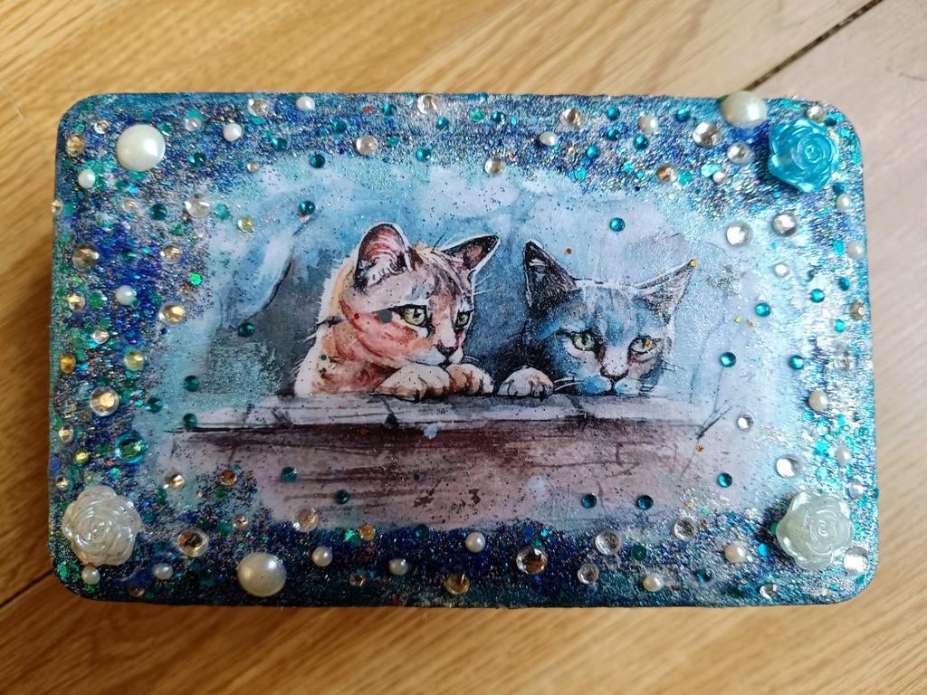 Cats in Blue Box, Ophalen of Verzenden