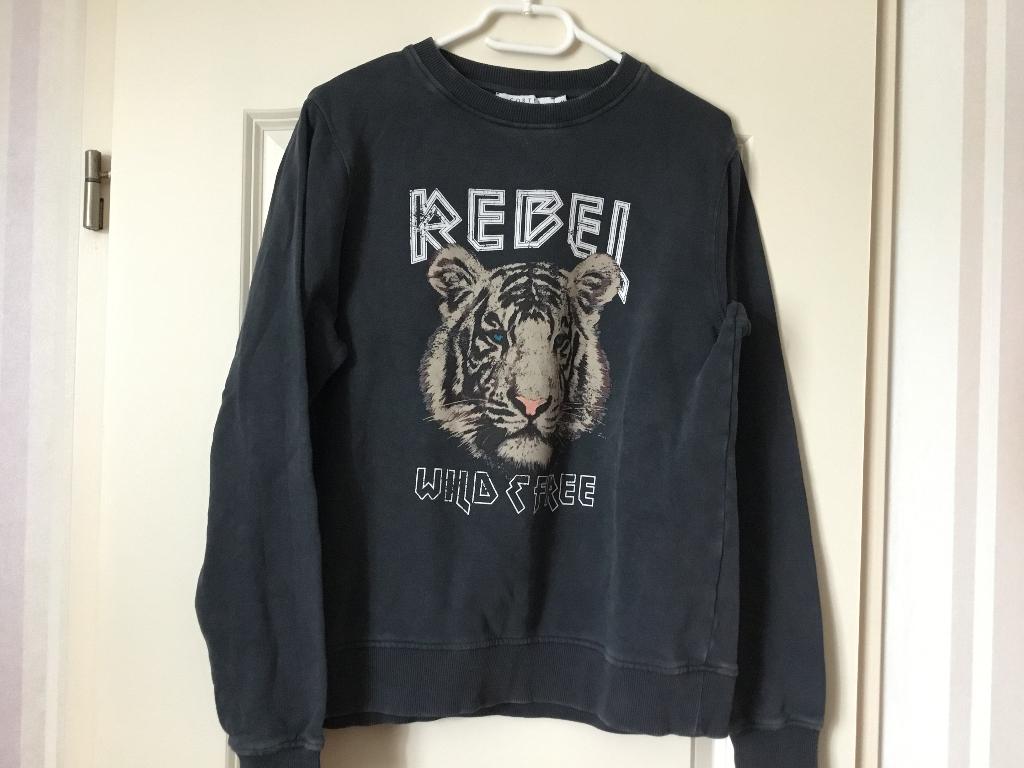 Sweater van costes maat m, Costes, Ophalen of Verzenden, Zo goed als nieuw, Maat 38/40 (M)