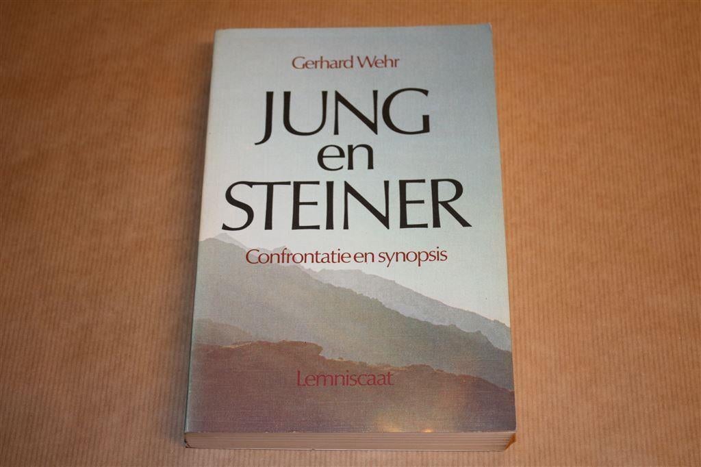 Jung en Steiner - Confrontatie en Synopsis, Ophalen of Verzenden, Zo goed als nieuw, Overige onderwerpen, Achtergrond en Informatie
