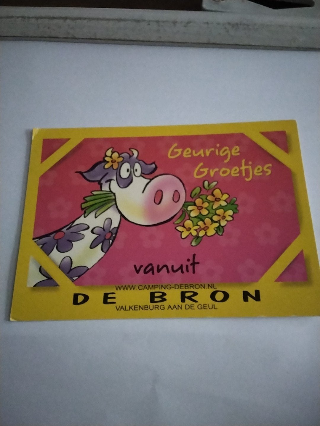 kaart Camping De Bron Valkenburg aan de Geul BEESTENBOEL, Ophalen of Verzenden, 1980 tot heden, Gelopen