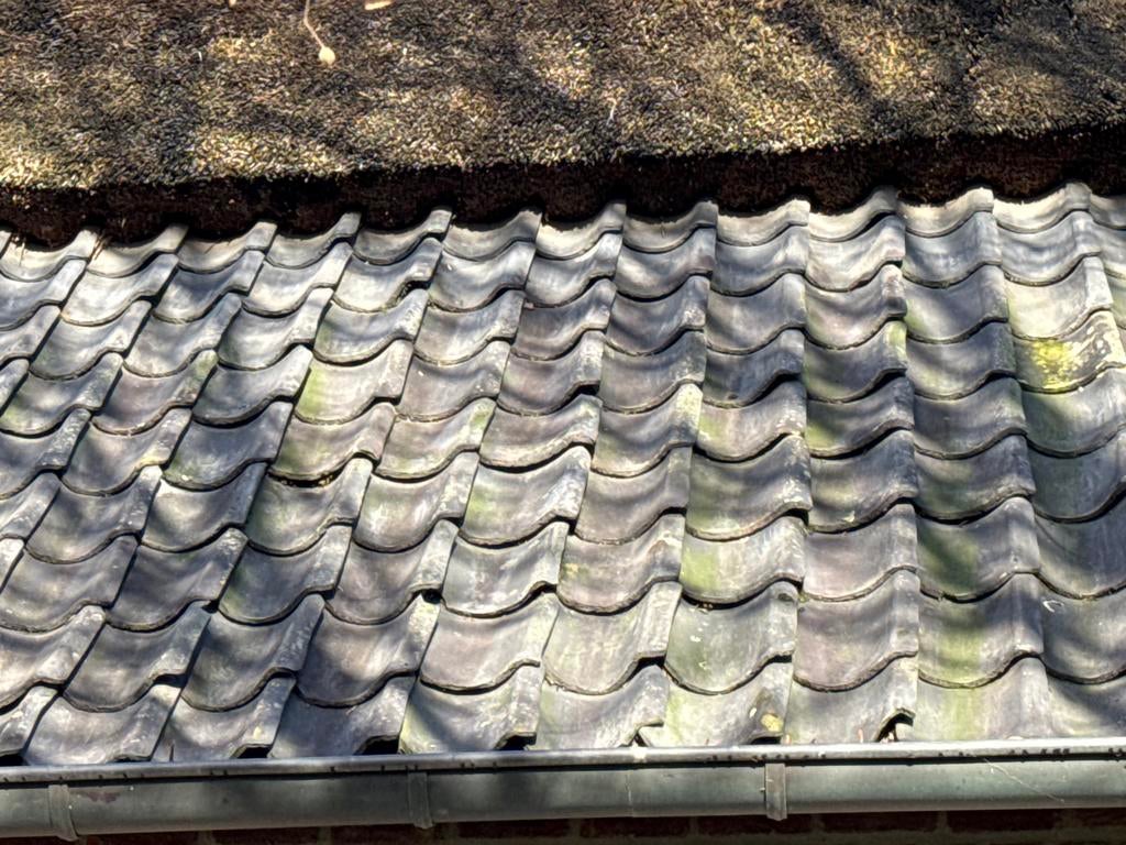 Oude Hollandse Dakpannen - Circa 4000 stuks, Ophalen, Gebruikt, Steen of Klei, 15 m² of meer