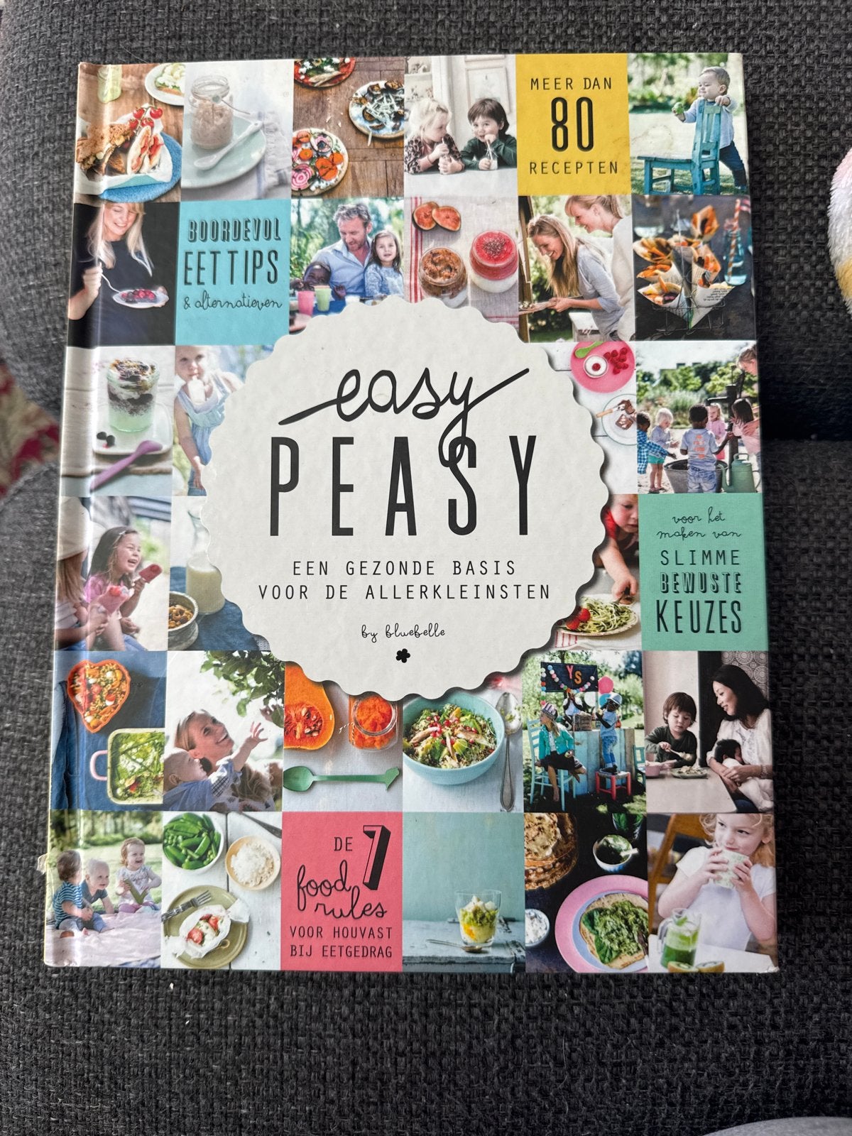 Easy Peasy: Gezond koken voor de allerkleinsten, Hoofdgerechten, Ophalen of Verzenden, Zo goed als nieuw, Gezond koken