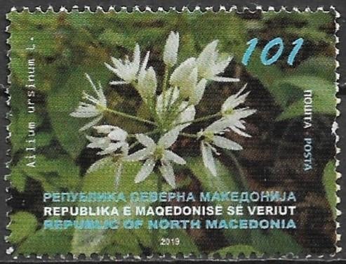 Noord-Macedonië 2019 mi.902 flora DASLOOK, Verzenden, Overige landen, Gestempeld