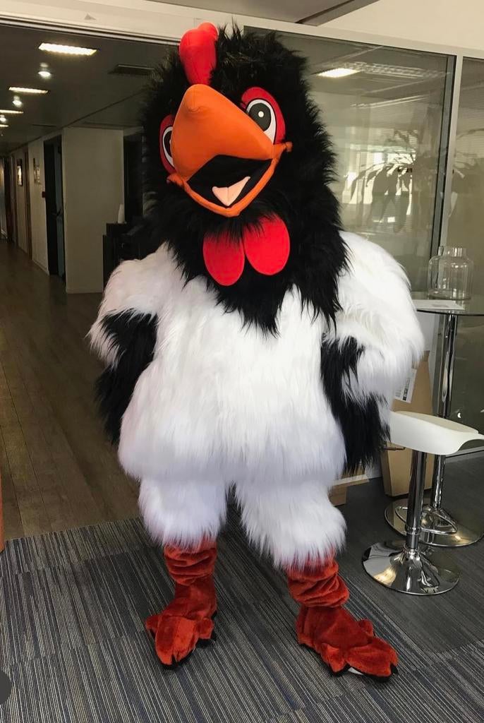 Mascotte kip, Ophalen of Verzenden, Zo goed als nieuw, Kostuum, Carnaval