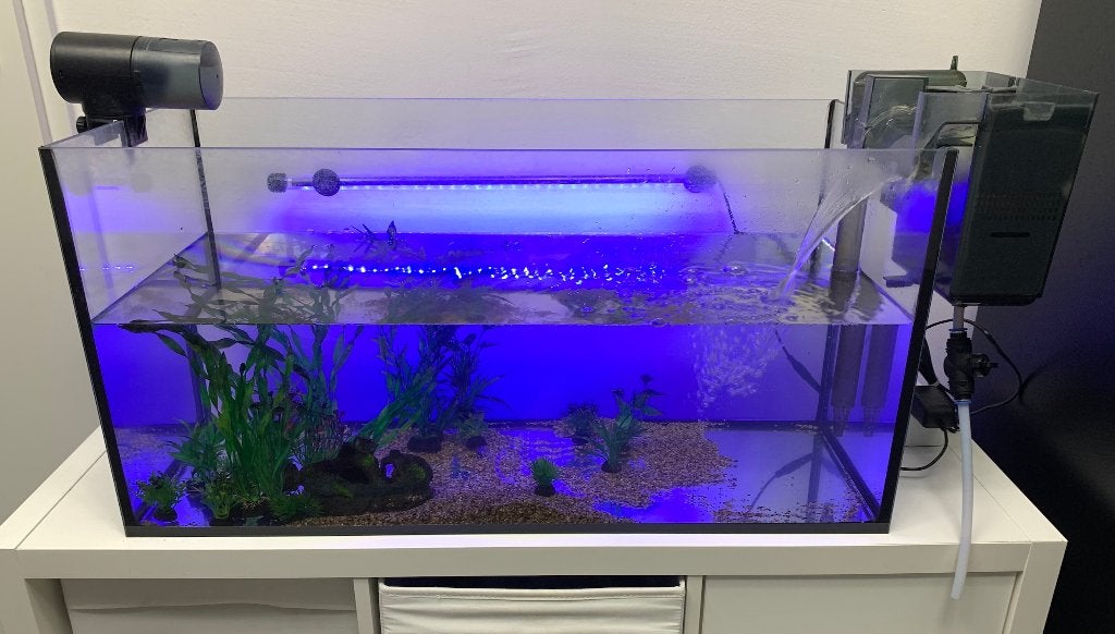 Aquarium met onderdelen compleet, Dieren en Toebehoren, Ophalen, Gebruikt, Overige merken, Inclusief planten