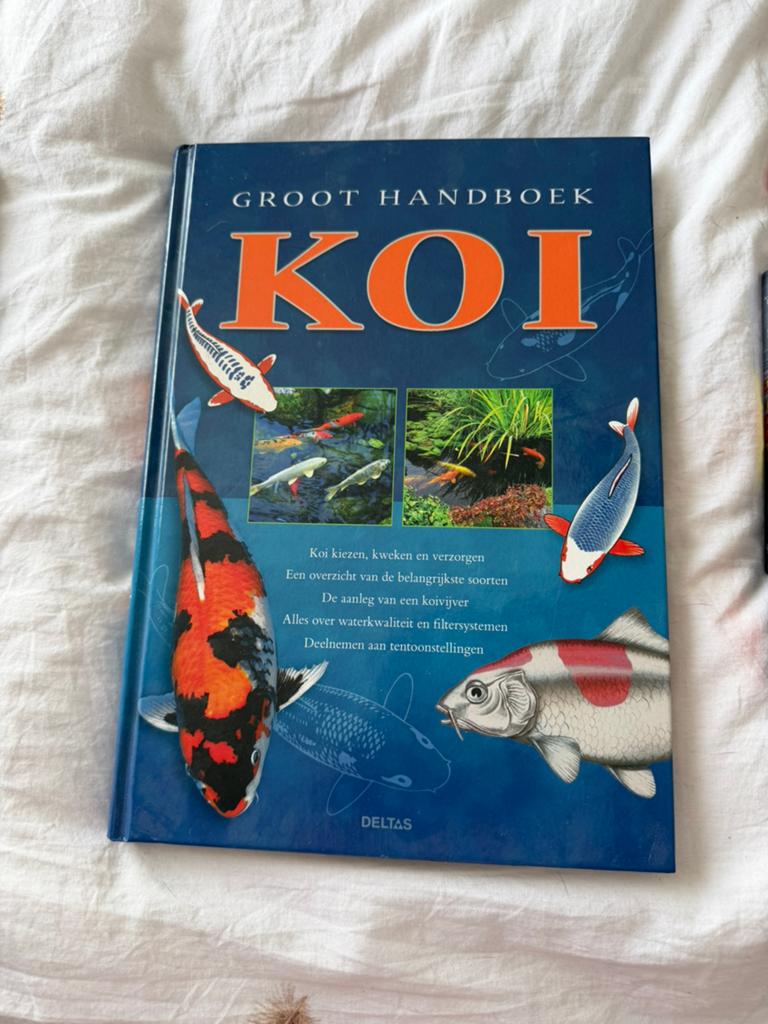 Koi boek, Karper of Koi