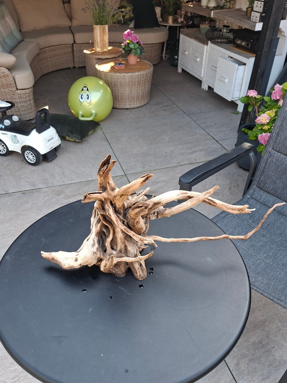 Mooi stuk hout voor je aquarium, Dieren en Toebehoren, Ophalen, Plant(en), Steen of Hout