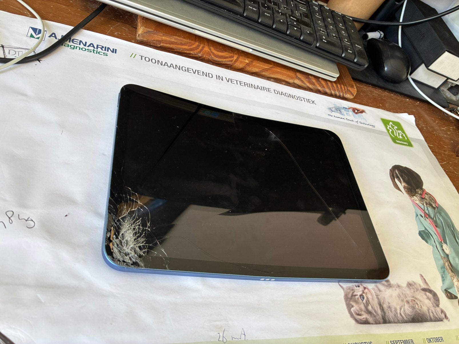 Ipad 10e generatie, 256 Gb, schade, Ophalen of Verzenden, Gebruikt, Overige typen, Apple
