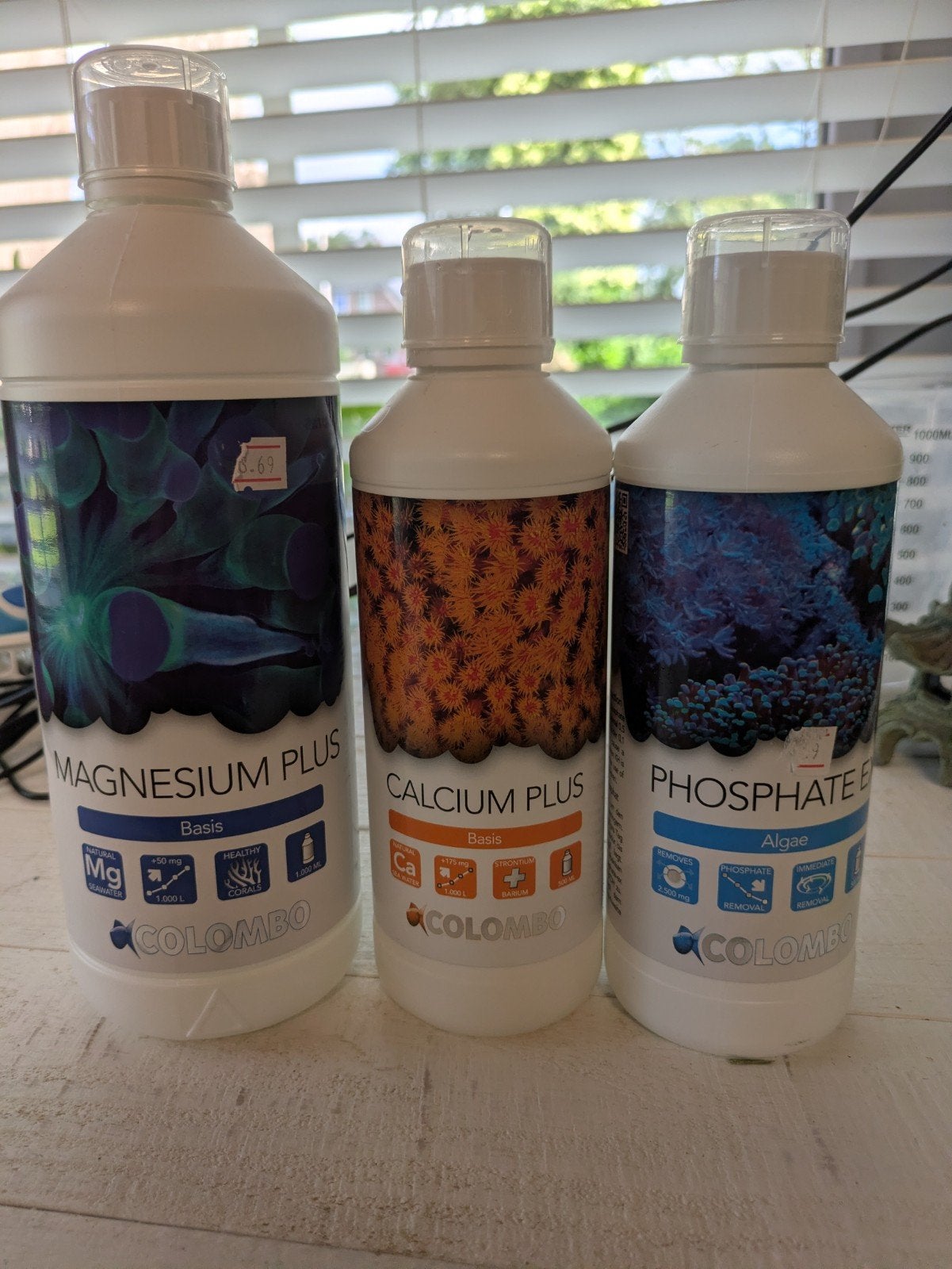 Zoutwater middeltjes voor je waardes, Dieren en Toebehoren, Vissen | Aquariumvissen, Vis