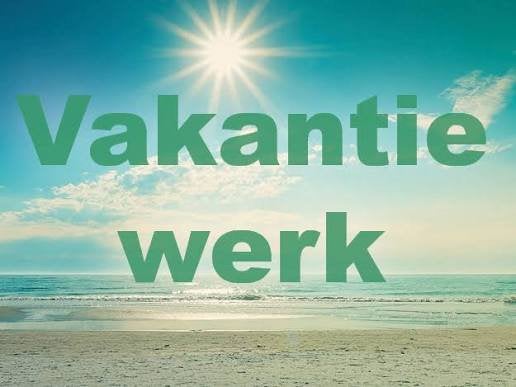 Vakantiewerk, Overige niveaus, Overige vormen