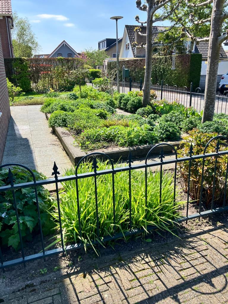 Grote verzameling diverse tuinplanten 70m2, Ophalen, Lente, Vaste plant