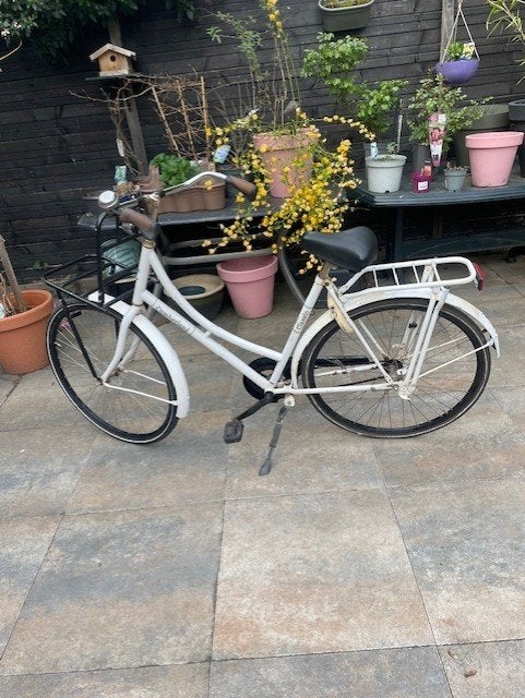 Witte Cumberland omafiets, Terugtraprem, Ophalen, Overige merken, 53 tot 56 cm