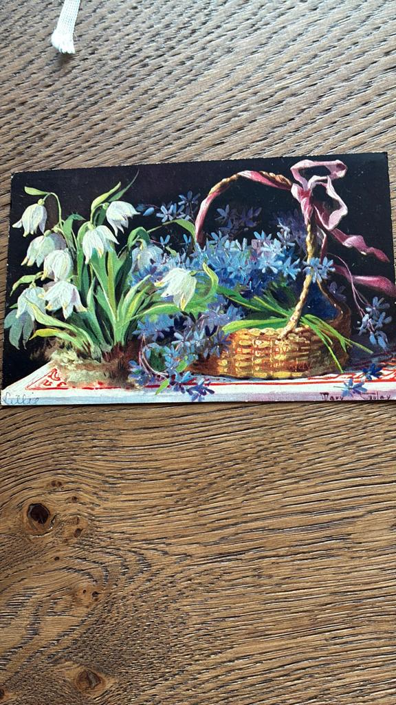 Mandje met paarse en witte bloemen. Sneeuwklokjes. 1908, Ophalen of Verzenden, Voor 1920, Gelopen, Overige thema's