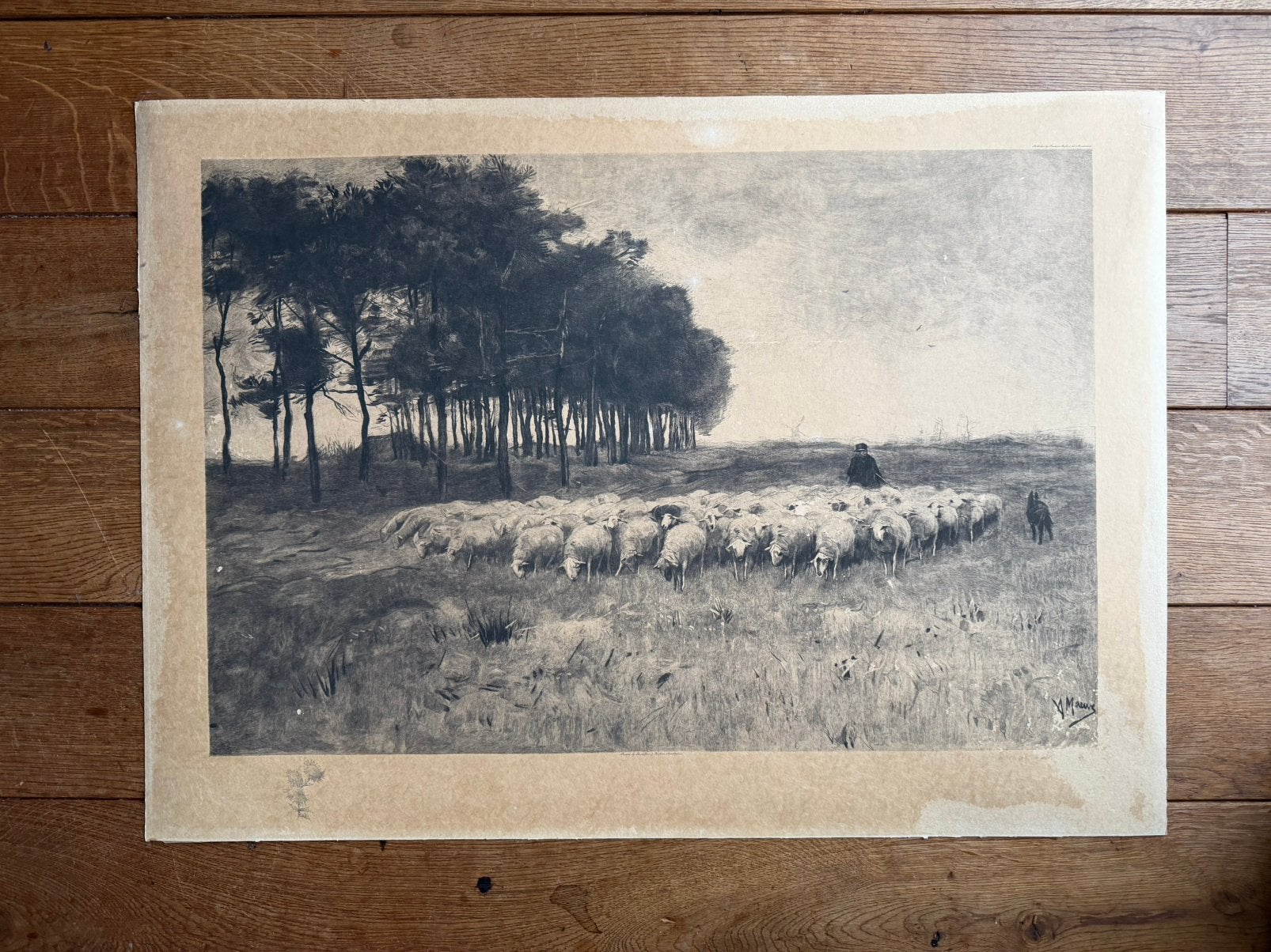 Anton Mauve, prent door Franz Buffa & Fils, ca. 1900, 1800 - 1899, Ets, 80 cm, 60 cm