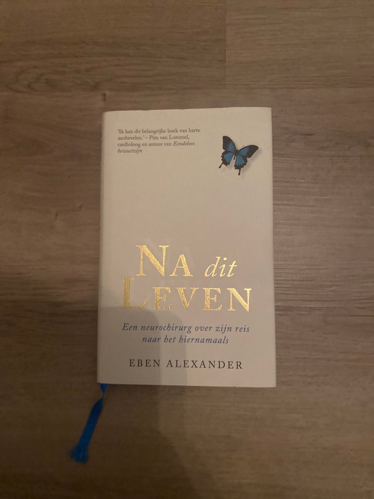 Na dit leven, Boeken, Esoterie en Spiritualiteit, Ophalen of Verzenden, Zo goed als nieuw, Spiritualiteit algemeen, Achtergrond en Informatie