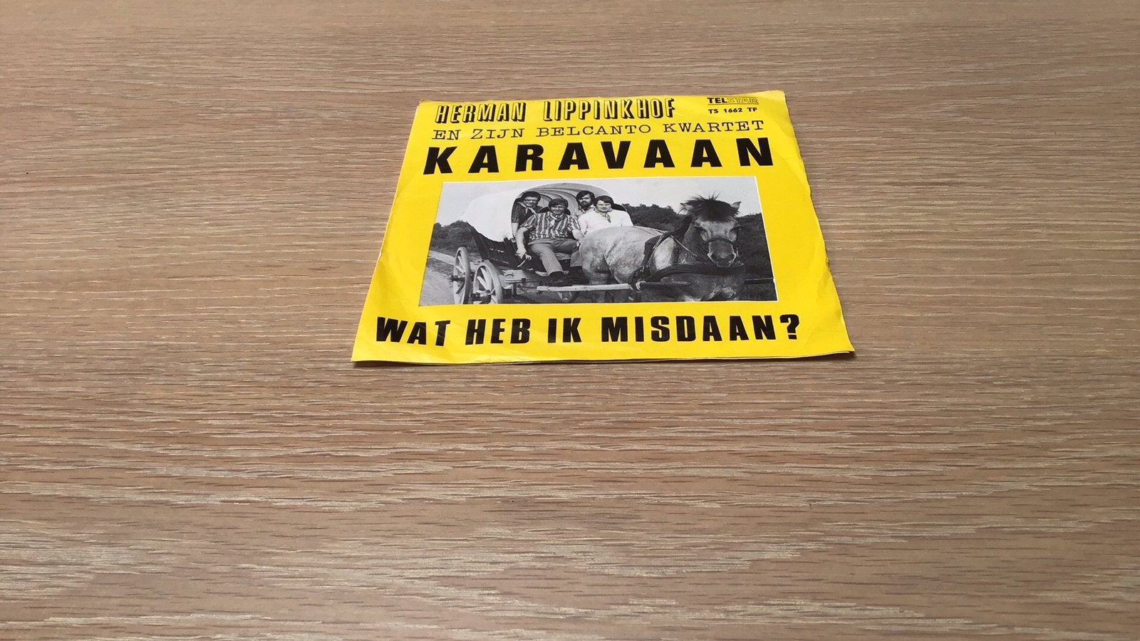 TELSTARTOPPER VAN HERMAN LIPPINKHOF: EEN KARAVAAN, Cd's en Dvd's, Ophalen of Verzenden, Zo goed als nieuw, Overige formaten, Levenslied of Smartlap