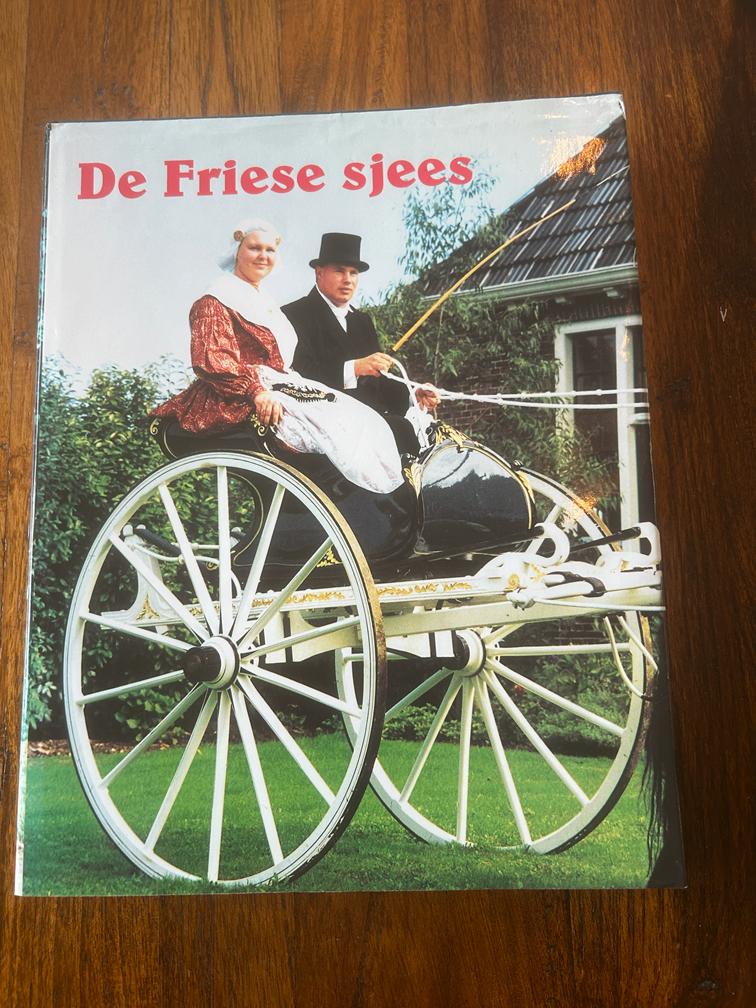 De Friese sjees H. de Haan, Ophalen of Verzenden, Gelezen