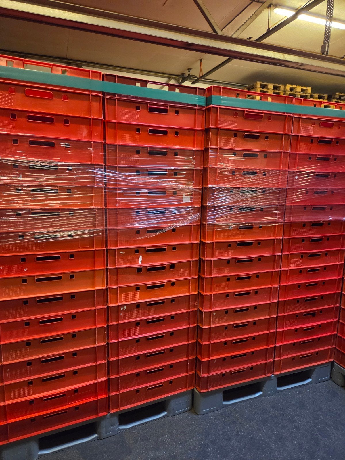 700+ E1 kratten 600x400x125 mm, Doe-het-zelf en Verbouw, Kratten en Dozen, Ophalen, Gebruikt, 40 tot 60 cm, 50 tot 75 cm