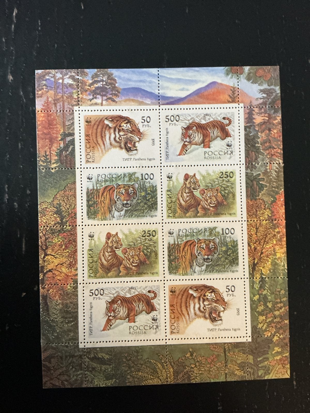 Postzegelvel Rusland 1993 - Siberische Tijgers, Postzegels en Munten, Ophalen of Verzenden, Postfris