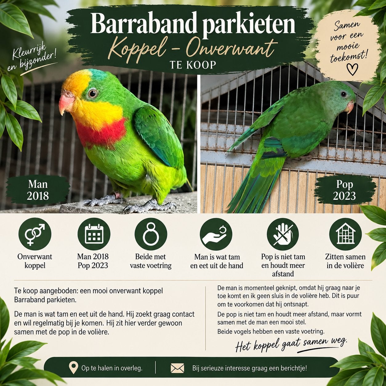 Koppel barraband parkieten