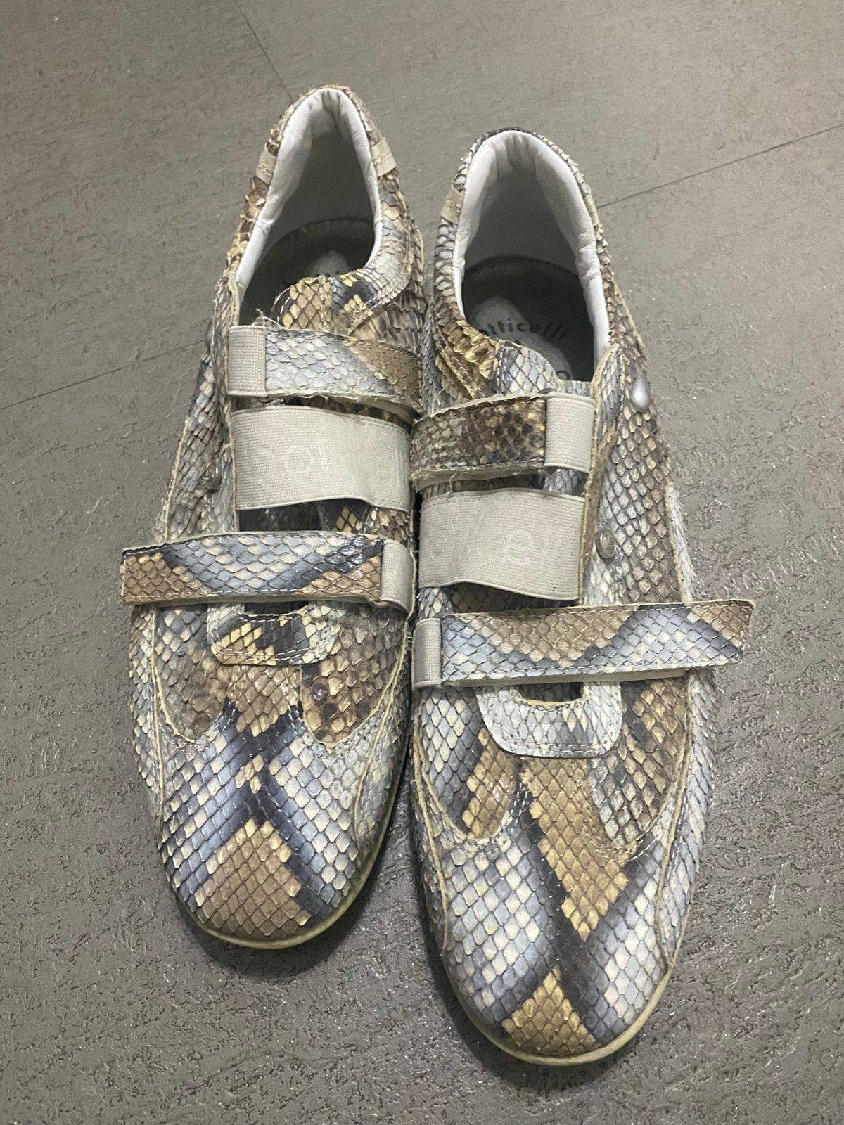 Botticelli Limited python print sneakers maat 41, Kleding | Heren, Schoenen, Overige kleuren, Ophalen of Verzenden, Sneakers of Gympen